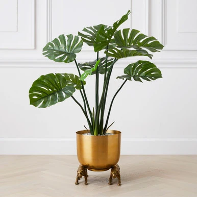 Nikki Chu - Jaguar Planter 6 Nikki Chu - Jaguar Planter - Image 4