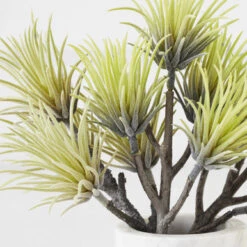 Home Decor 40 Home Decor -Home Decor 209207468 2 12382.1690278982.386.513