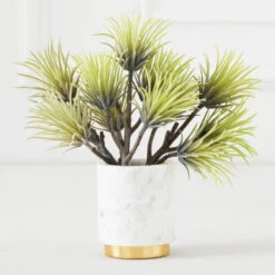 Faux Aeonium Succulent Pick - Set Of 3 -Home Decor 209207468 91232.1690278981.386.513