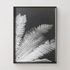 Tropical Palm Duo -Home Decor 725117530 56886.1690292284.386.513