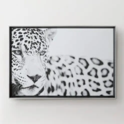 Majestic Calm -Home Decor 725121331 87862.1690292326.386.513