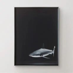 Silence In The Deep -Home Decor 725159654 37014.1690292287.386.513