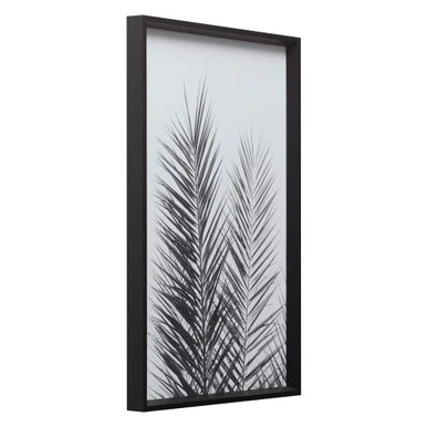 Palm Crisp 3 Palm Crisp