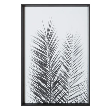 Palm Crisp 4 Palm Crisp - Image 2