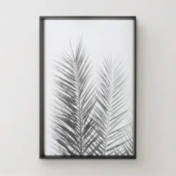 Palm Crisp -Home Decor 725177204 62258.1690292326.386.513