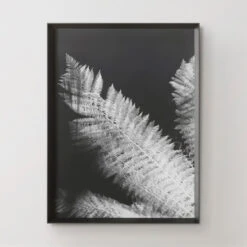 Tropical Palm Duet -Home Decor 725183312 71425.1690292285.386.513