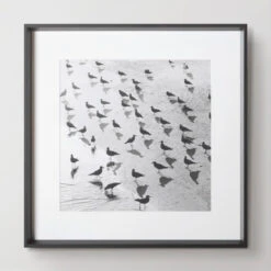Escher's Seagulls -Home Decor 730157566 50446.1690292292.386.513