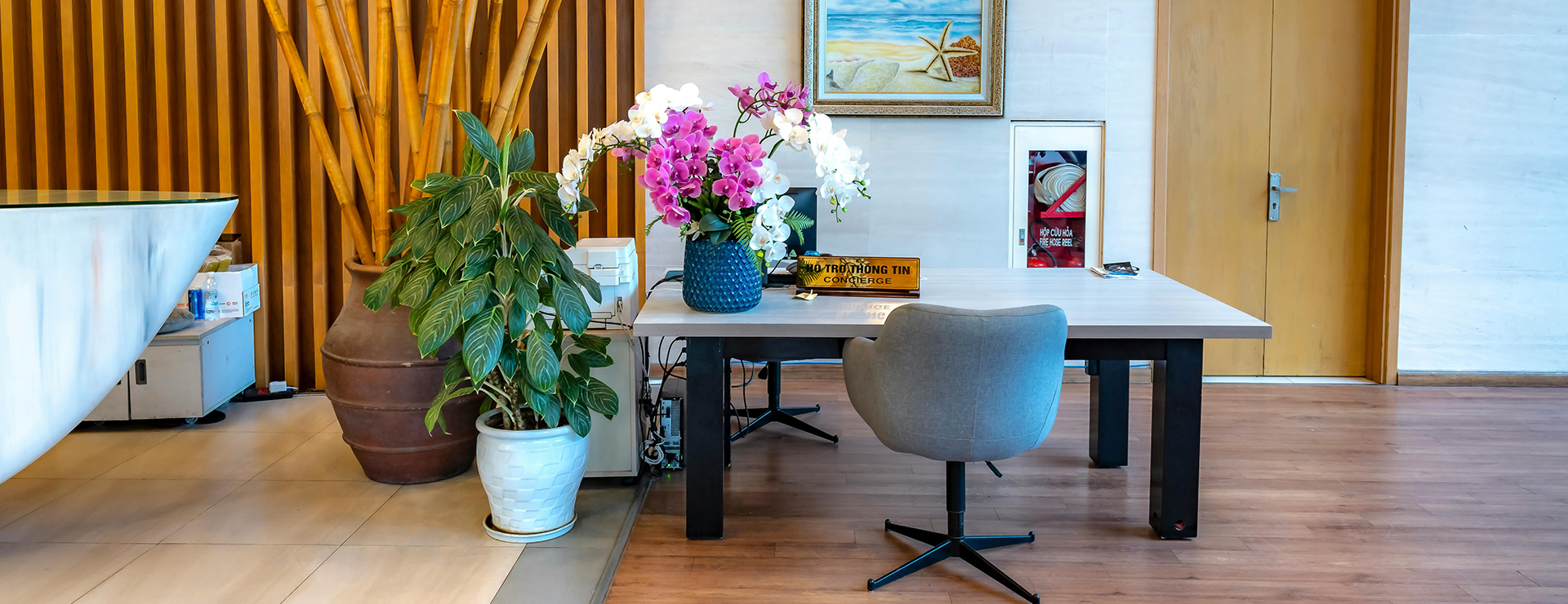 Home Decor 1 Home Decor -Home Decor pexels quang nguyen vinh 222549 28999492