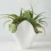 Coral Vase -Home Decor webimage 120218787 jpg