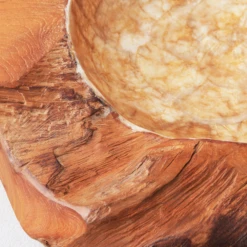 Organic Capiz Bowl -Home Decor webimage 160160778 DTL