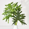 Philo Leaf -Home Decor webimage 162142192 1