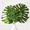 Split Leaf -Home Decor webimage 162948171 1