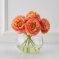 Ranunculus In Glass - Sunset
