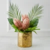 Protea In Pot - Blush -Home Decor webimage 168115695 jpg