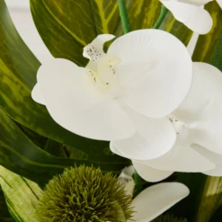 Phalaenopsis Leaf In Glass -Home Decor webimage 168192665 dtl2