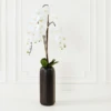 Nikki Chu - Orchid In Black Vase -Home Decor webimage 168213601