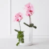 Nikki Chu - Pink Orchid In White Vase 2 Nikki Chu - Pink Orchid In White Vase -Home Decor webimage 168247451