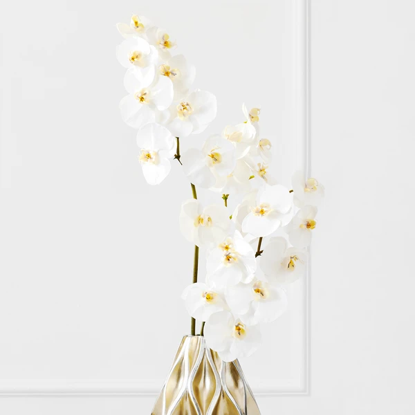 White Orchid Stem - Set Of 3 3 White Orchid Stem - Set Of 3