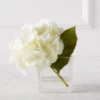 Hydrangea In Glass Vase