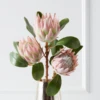 Protea Queen Spray - Set Of 3 -Home Decor webimage 200023570 jpg