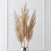 Pampas Grass - Set Of 3 -Home Decor webimage 200200552 jpg