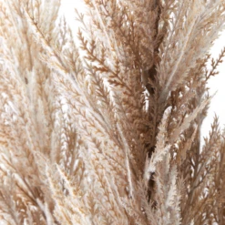 Pampas Grass - Set Of 3 -Home Decor webimage 200200552 1 jpg