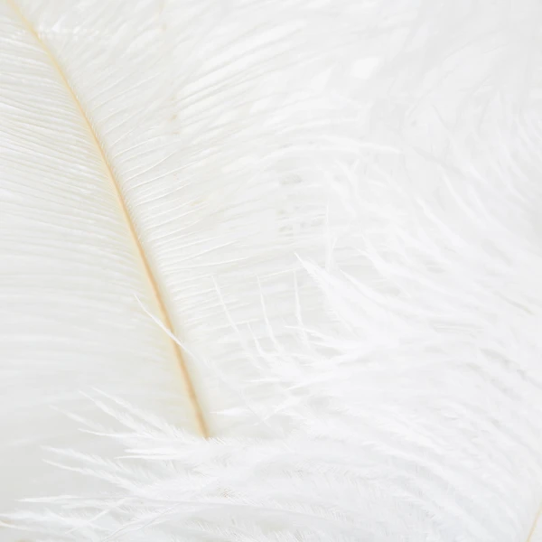 Ostrich Spray - Set Of 3 11 Ostrich Spray - Set Of 3 - Image 9