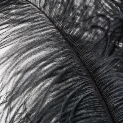 Ostrich Spray - Set Of 3 16 Ostrich Spray - Set Of 3 -Home Decor webimage 205481273 1 jpg