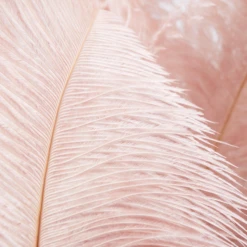 Ostrich Spray - Set Of 3 17 Ostrich Spray - Set Of 3 -Home Decor webimage 205481274 1 jpg