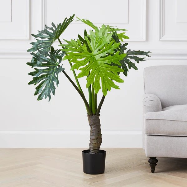 Plume Leaf Tree 4 Plume Leaf Tree - Image 2