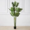Areca Palm Tree -Home Decor webimage 206448860 jpg