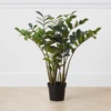 Zamioculas Tree 1 Zamioculas Tree -Home Decor webimage 206448861 jpg
