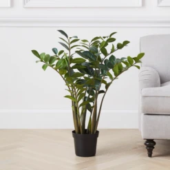 Zamioculas Tree 5 Zamioculas Tree -Home Decor webimage 206448861 1 jpg