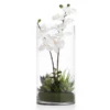 Faux Potted Orchid With Succulents -Home Decor webimage 207818656 jpg