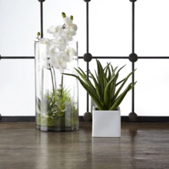 Faux Potted Orchid With Succulents -Home Decor webimage 207818656 rv1 jpg