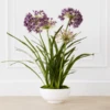 Faux Potted Agapanthus 1 Faux Potted Agapanthus -Home Decor webimage 207919623 1