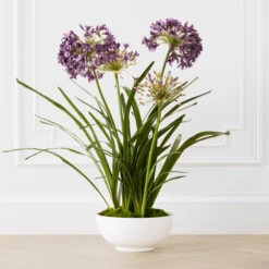 Faux Potted Agapanthus