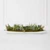 Succulent Assortment In Wood Tray -Home Decor webimage 207999710