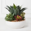 Succulent Assortment In Bowl -Home Decor webimage 207999711 1