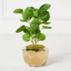 Eucalyptus In Geometric Planter 1 Eucalyptus In Geometric Planter -Home Decor webimage 207999714