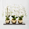 Orchid Trio With Granite Slab -Home Decor webimage 207999715