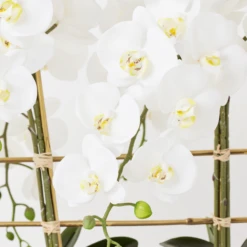 Orchid Trio With Granite Slab -Home Decor webimage 207999715 dtl2