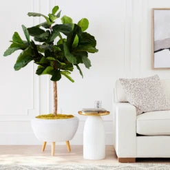 Fiddle Leaf Tree In Bowl 11 Fiddle Leaf Tree In Bowl -Home Decor webimage 207999719 alt6 DSI FIDDLE LEAF IN WHITE POT rv 1
