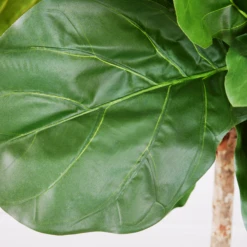Fiddle Leaf Tree In Bowl 9 Fiddle Leaf Tree In Bowl -Home Decor webimage 207999719 dtl1