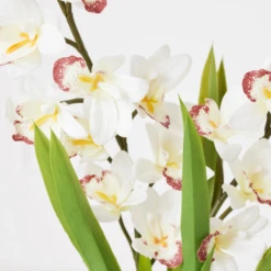 Cymbidium In Glass Vase 8 Cymbidium In Glass Vase -Home Decor webimage 207999720 dtl1