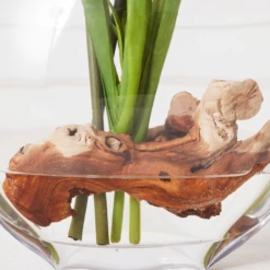 Cymbidium In Glass Vase 9 Cymbidium In Glass Vase -Home Decor webimage 207999720 dtl2