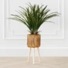 Areca In Wood Stand -Home Decor webimage 207999721