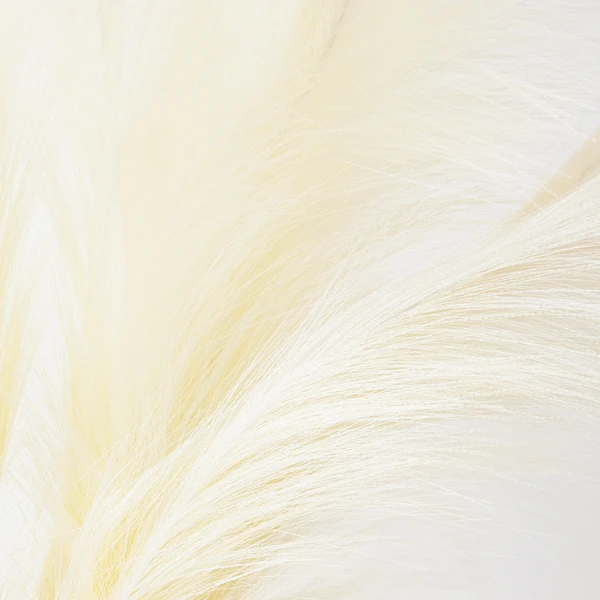 Plume In Kendall Pot 4 Plume In Kendall Pot - Image 2