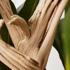 Fiddle Leaf Branches In Bowl 8 Fiddle Leaf Branches In Bowl -Home Decor webimage 207999724 dtl1