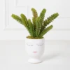 Selfie Succulents In Face Planter 1 Selfie Succulents In Face Planter -Home Decor webimage 207999751